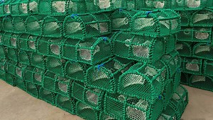 [Hot Item] High Quality Prawn Creel Lobster Trap