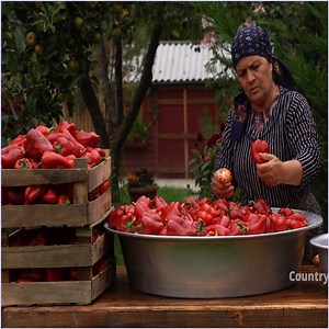 Best Homemade Bell Pepper Paste from Garden Fresh Peppers.☘️🫑🍅🌳 | Minte Engelbert