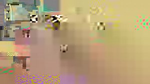 Feng Shui Your Money Corner in your home To Attract more Money, Wealth & Abundance Luck | Feng Shui Beginner