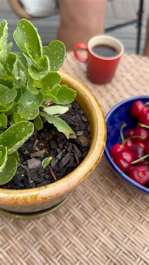 #goodmorning ☕️🍒 | Heghineh Cooking Show