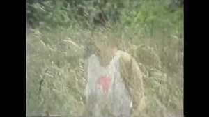 3.1K views · 87 reactions | DRAGANA MIRKOVIĆ I JUŽNI VETAR - KAD BI ZNAO KAKO ČEZNEM.... | Narodna Muzika | Facebook