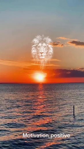 🔴 MOTIVATION Méfiez-vous des gens hypocrites qui vous entourent #xamxamchannrl3613 #fypシ゚ #attidiani #éducation #senegal #motivation #maman #xamxam #Cheikh | Cissokho Boubacar