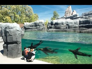Parc Zoologique de Paris in 4K 60FPS