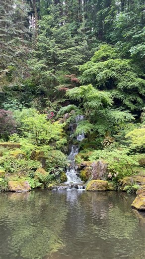 2.5K views · 298 reactions | Take a walk in nature this weekend #GetOutside #portlandjapanesegarden #HeavenlyFalls #portland #oregon | Portland Japanese Garden | Facebook