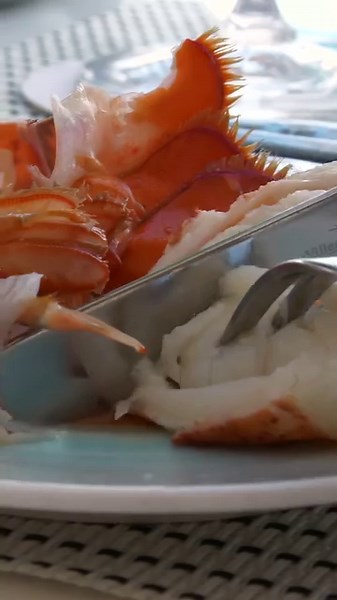 14 reactions | Nestled on the edge of the ocean, our restaurant, Carbon Beach Club, invites you to savor the finest flavors while being serenaded by the sound of crashing waves. ️ | Malibu Beach Inn | Facebook