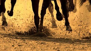 Witness the Greatest Two Minutes in Sports. | Kentucky Derby