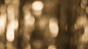 Golden Bokeh Lights Sparkling Particles Animated Stock Footage Video (100% Royalty-free) 3973303911 | Shutterstock