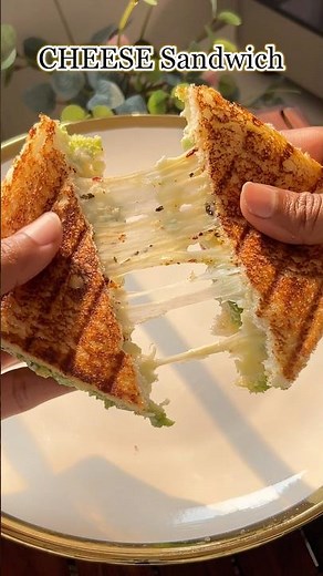 Irresistible Cheese Sandwich in Minutes!..😋 #sandwich #cheesesandwich #cheesy