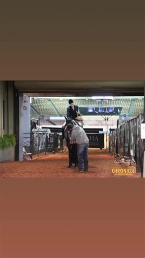 Congratulations to the winners of today’s L2 Amateur Hunter Under Saddle at the 2023 AQHA World Championship & Select World Championship Show! Champion: Morgan Miller and Hows That For Ya Reserve Champion: Mallory Vroegh and Cool Made Machine Bronze Champion: Kaitlyn Allen and Al Have Potential Check back for more results on our website: www.EquineChronicle.com #TheEquineChronicle | The Equine Chronicle