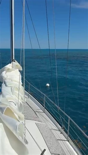 2.3K views · 69 reactions | Key West snorkel conditions aboard Floridays Key West....... #KEYWESTSAILBOAT #KEYWESTCHARTERBOAT | Floridays Key West | Facebook