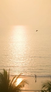 Let the gentle sea breeze and calming spaces at JW Marriott Mumbai Juhu ease you into relaxation. With each corner designed for comfort, your perfect escape awaits. Reserve your stay and embrace tranquility. (mumbai, luxury, staycation, relaxation) #JWMarriottJuhu #LuxuryStay #MumbaiViews #YourEscape | JW Marriott Mumbai Juhu
