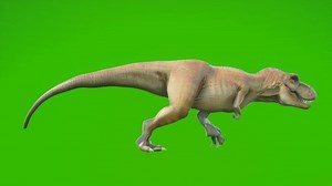 Angry T-rex Dinosaur Runs Looping Seamless Stock Footage Video (100% Royalty-free) 1066060915 | Shutterstock