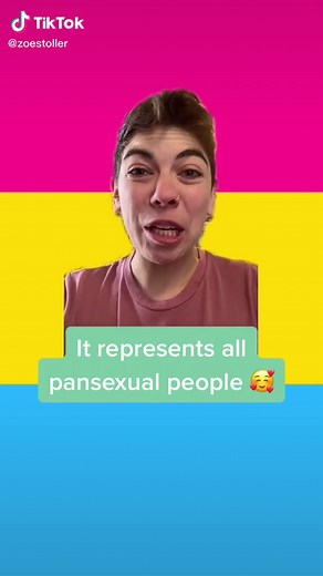 Meaning of Pansexual Flag Explained in English