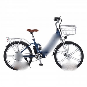 [Hot Item] Hot Selling Adult Lightweight Magnesium Hopper Electric Bicycle