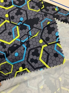 [Hot Item] Polyester Printed Taslan Fabric Taslon Wr