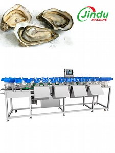 [Hot Item] Automatic Oyster Sorting Machine Line with Cleaning Machine