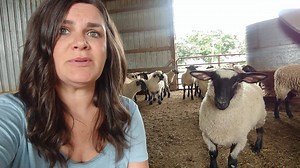If you've ever seen the "She Shed" commercial from State Farm... 😂😂 American Lamb Board Lamb Checkoff #americanlamb #fanoflamb | Farm Babe