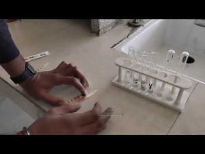 pH Value Experiment | Universal Indicator | Class 10th | Chemistry | Practical