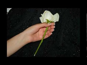 Bonita cancion para pedir matrimonio
