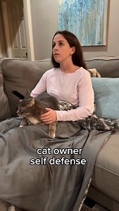 667K views · 36K reactions | Guard cat  repost of one of my faves ‍♀️#cats #catmom #funnycats #catlover #cattok | kuzcopluscleo | Facebook