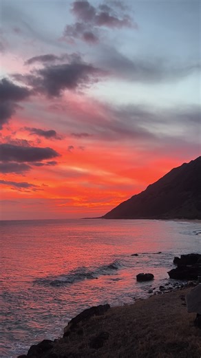 Ryan Becker on TikTok