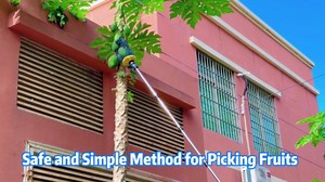 Fruit Picker Tool with Basket, 35-72 Inch Adjustable Long Handle Fruit Picking Pole - for Harvesting Lemon Avocado Apple Mango Pear Orange & Tall Tree Fruits