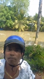 XUÂN NÀY CON KHÔNG VỀ | Hôm Nay Xem Gì