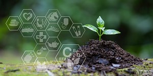 Modafinil (Provigil) Withdrawal Symptoms, Timeline & Treatment