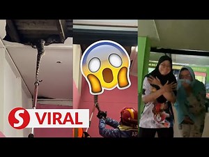 Loved-up pythons crash through ceiling