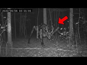 1 Hour of Scariest Mythical Monsters Caught in Forests
