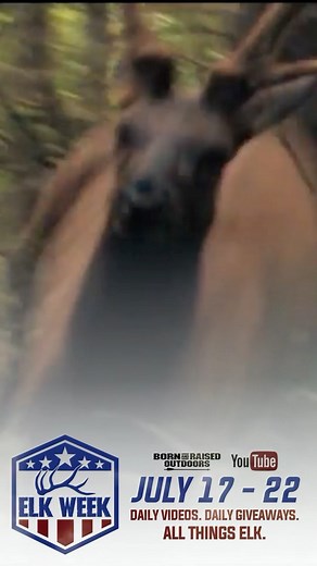 ELK WEEK 2023 | July 17th through July 22nd | Daily videos. Daily giveaways. Daily at 4PM Pacific. Only on the Born and Raised Outdoors Youtube Channel. CHECK OUT THE ELK WEEK WEBSITE PAGE TO STAY INFORMED ON EVERYTHING GOING ON. LINK IN BIO #bornandraisedoutdoors | Born And Raised Outdoors