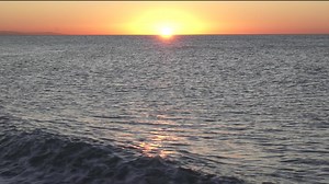 Printemps/Spring 2023- Collection Lyman collection #franklyman #womenfashionline #spring #lymancollection | Frank Lyman Design