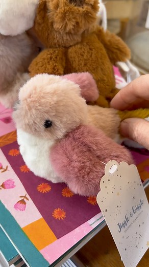 The cutest dummy holders at both stores $28.95 #dummy #babies #babygifts #babydummy #launceston | Rhubarb for Gifts | Facebook