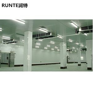 [Hot Item] Runte Brand Supermarket Warehouse Distribution Center Hot Sale Modular Potato Cold Store Fruit and Vegetables Prefabricated Sandwich Panel Cold Room