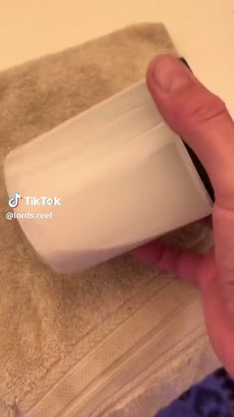 Crystal Clear Reef Tank Tips with Coral Snow