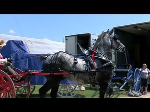 County Fair