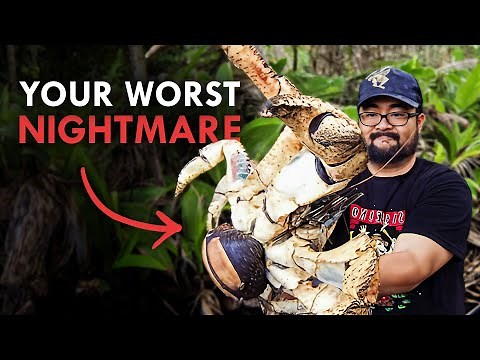 Meet the World's Strangest Animals