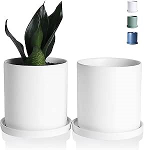 Ceramic Flower Plant Pots- 4.5 Inch Cylinder Ceramic Modern Planters Indoor Bonsai Container with Drainage Hole and Tray - Set of 2, Matte White (Plants Not Included)