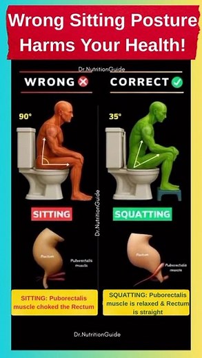 Wrong Toilet Posture Hurts Your Health! ✅ Squatting Makes Digestion Easier
