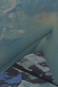 Swan’s Island - Movie