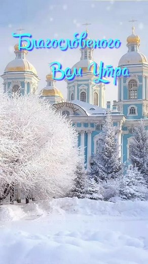 Winter Scenes: Beauty in Stillness and Nature