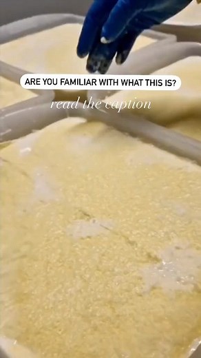 This is Kaymak, it is a traditional dairy product with origins in Central Asia and the Middle East. It is made by boiling fresh milk and then cooling it, allowing the cream to rise to the top. This cream is then skimmed off and churned until it thickens into a rich, spreadable consistency. Historically, kaymak has been consumed in various cultures, including Turkish, Balkan, and Middle Eastern cuisines. It’s often used as a topping for bread, pastries, or desserts. Nutritionally, kaymak is rich 