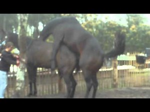 SAILLIE PARISIS et ROYAL PRINCESS 03 avril 2011