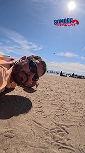 #Sabíasque 👇🏽 Que en Bahía de Lobos de #SanIgnacioRioMuerto puedes apreciar a decenas de Lobos marinos, en un bonito espectáculo natural 😍😍 Sonora Adventures compartió el siguiente video y comentó: "Vive está increíble experiencia en el sur de #Sonora a 45 minutos de #CiudadObregón Sal de la rutina y vive experiencias inolvidables con Sonora Adventures. 64-44-51-3000 | CDO Noticias