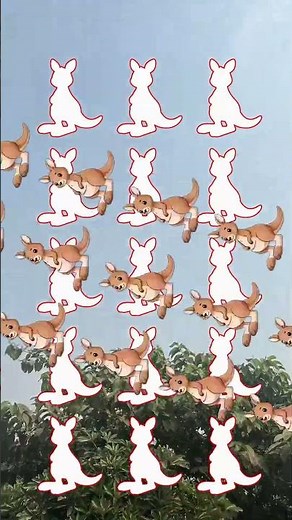 Kangaroo Ground Set Challenge #kangaroo #pauseshorts #lifestyle