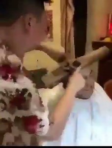 ဆံပင္ၫွပ္တာလား လူသတ္ေနတာလား မသဲကြဲဘူး 😱😱😱 | Science & Technology Myanmar