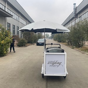 [Hot Item] 2024 Ice Cream Tricycle Vending Carts Popsicle Ice Cream Carts Commercial Juice Machine