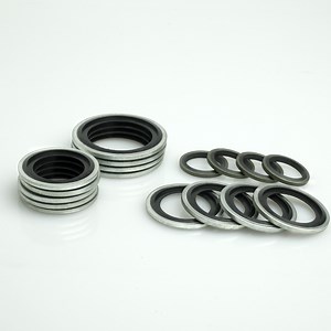 [Hot Item] 316 Stainless Steel Dowty Seal Gasket NBR Rubber Bonded Seal