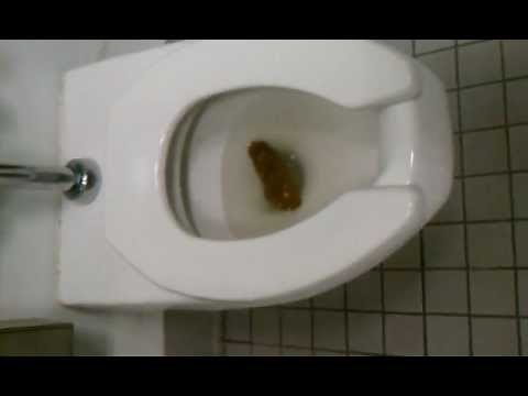 Worlds largest female turd