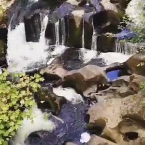 3.9K views · 240 reactions | Upper Chattooga River | The Dillard House | Facebook